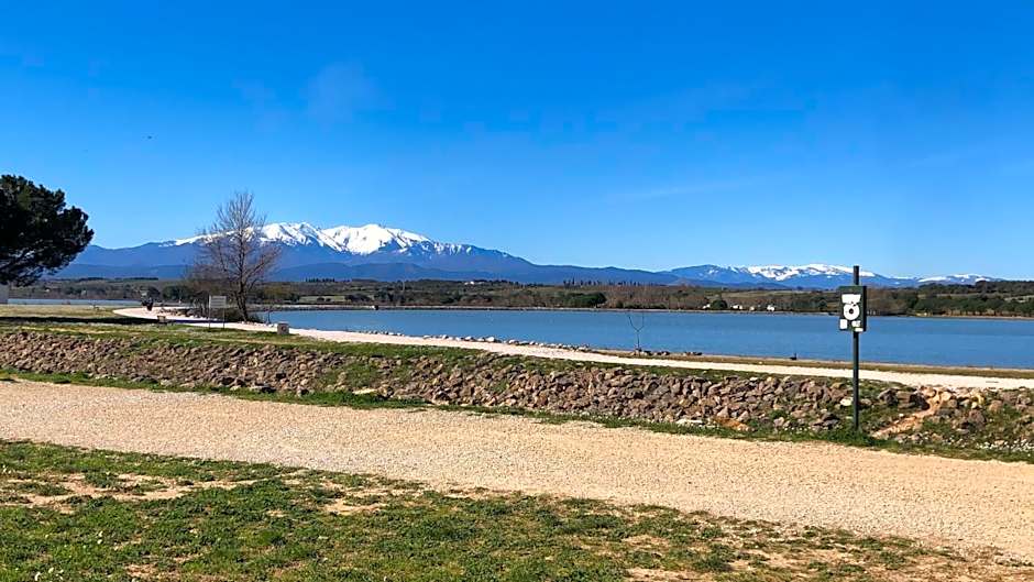DOMAINE LES VINYES
