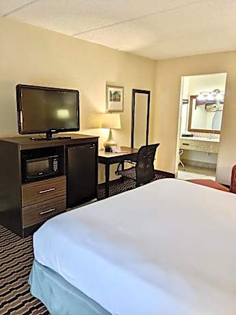 Standard King Room - Non-Smoking