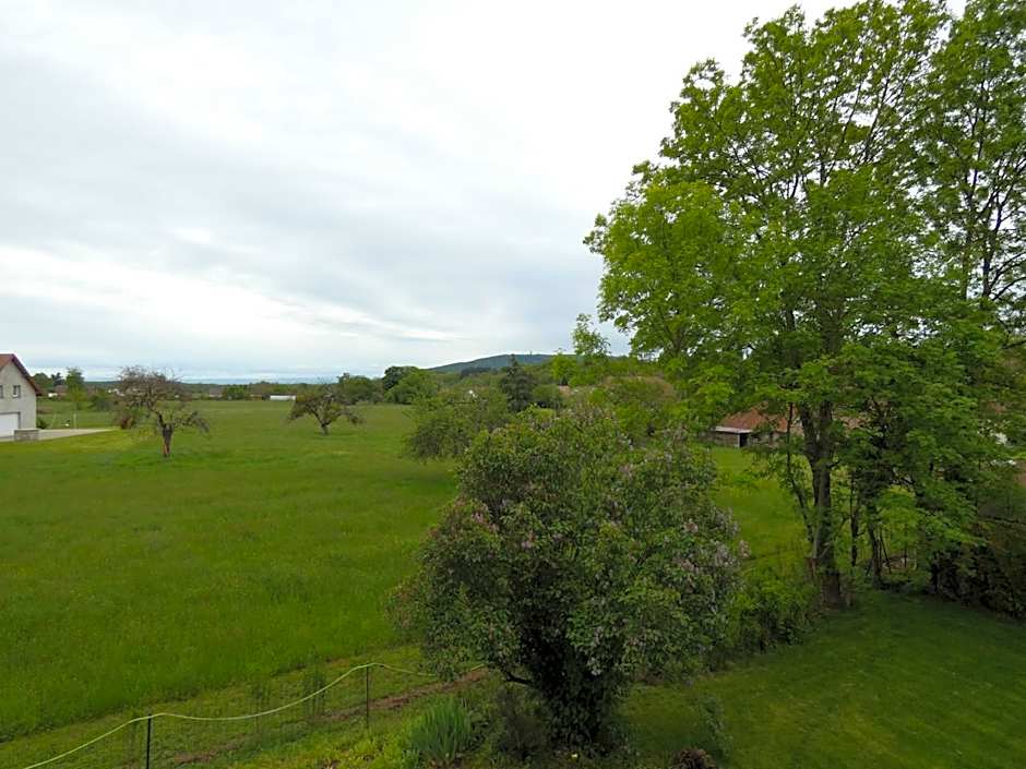 Les Chambres d Odile