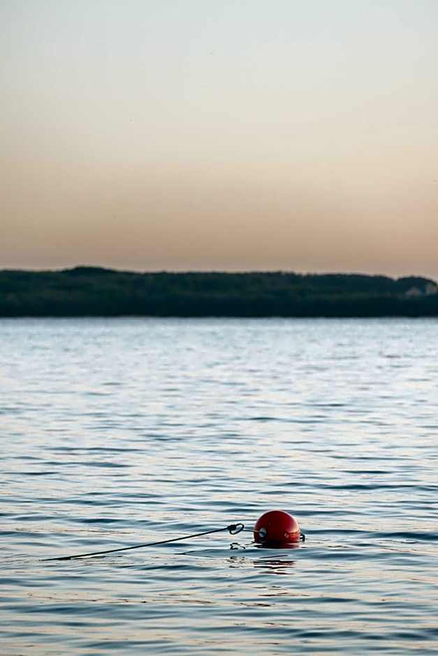 Yggdrasil Igloo Skåne