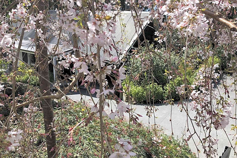 Treghan Luxury Lodge