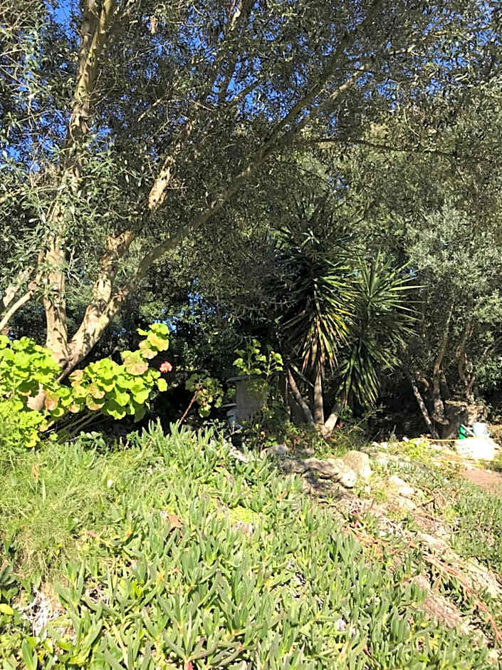 Résidence hôtelière A TRAMA