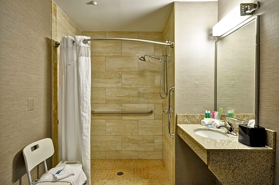 Holiday Inn Express Romulus / Detroit Airport By IHG