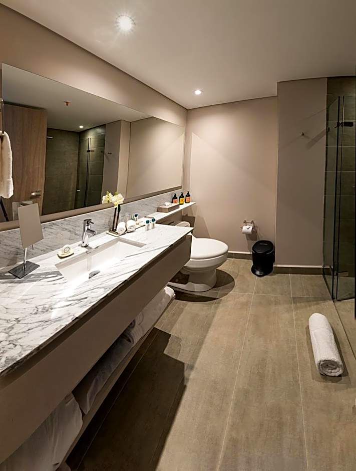York Medellin, Curio Collection by Hilton