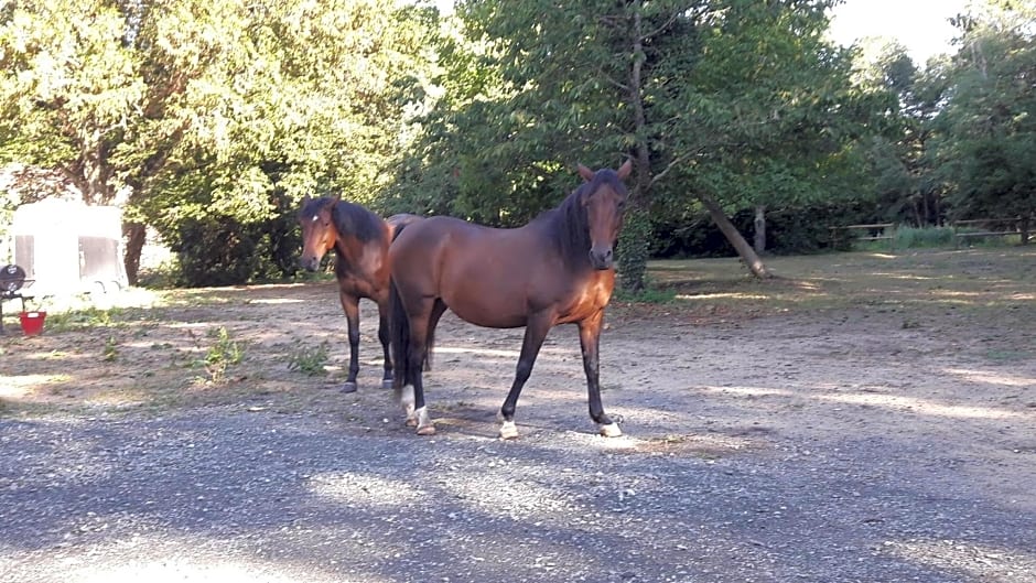 Le petit plessis
