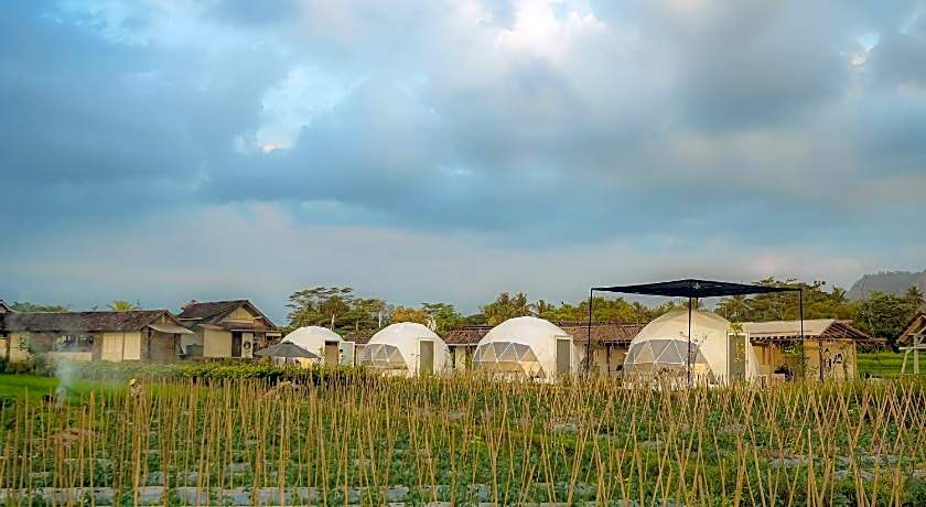 Borobudur Luxury Glamping