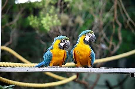 Camel Valley Resort & Spa, Igatpuri