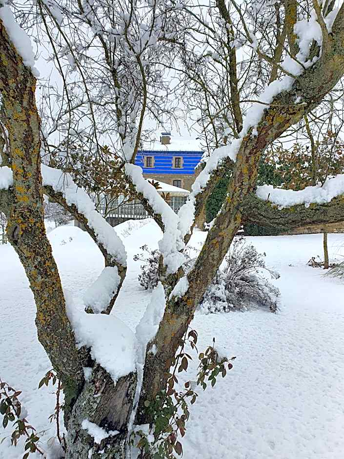 Hotel Boutique Bodegas De Arnes - Adults Only