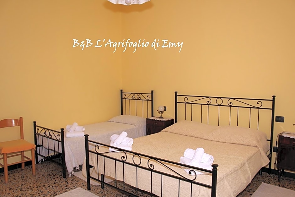 L'Agrifoglio di Emy