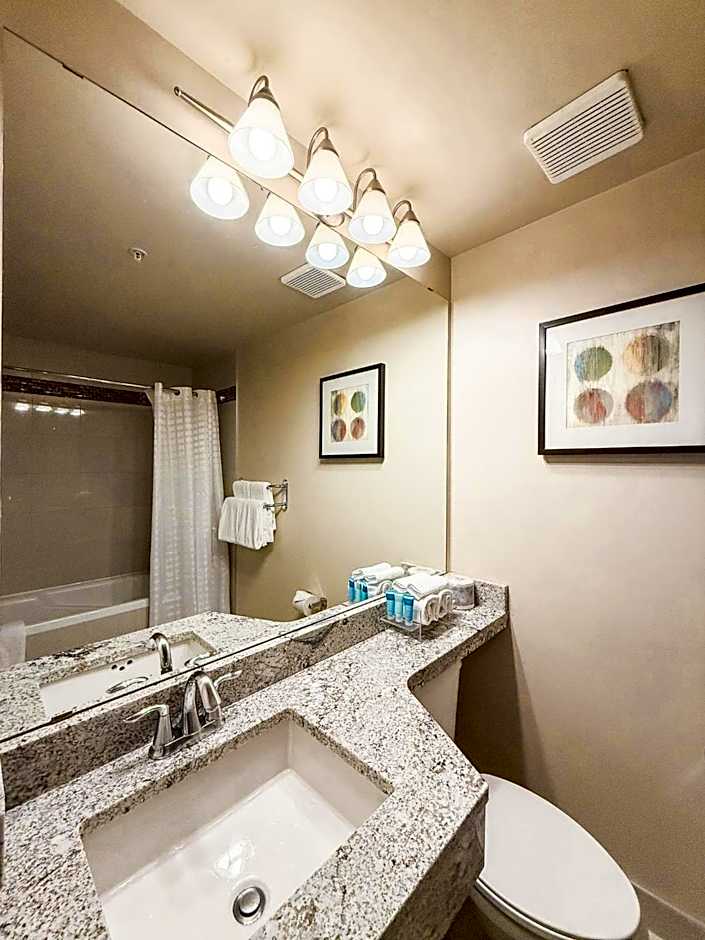 West Edmonton Mall Inn