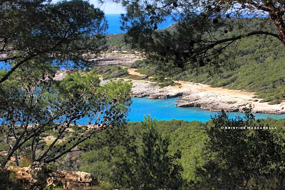 B&B Happy Days Golfo di Gallipoli