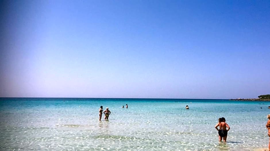 Librari - Quality confort