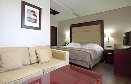 Junior Suite for Single Use