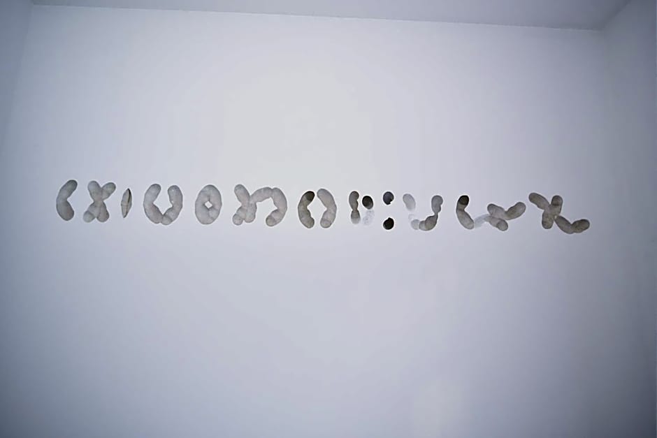 Art-Hotel Robert Mayer