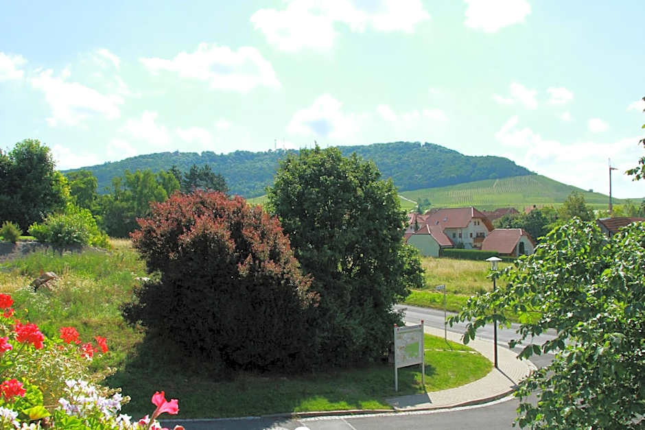 Hotel & Gasthof zum Rödelseer Schwan