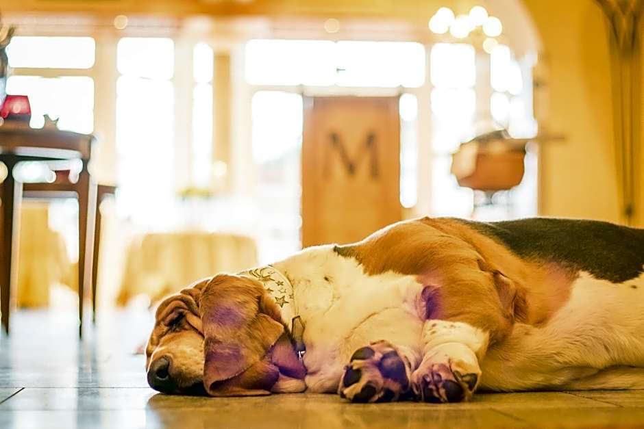 Hotel Magdalena im Zillertal - Urlaub mit Hund