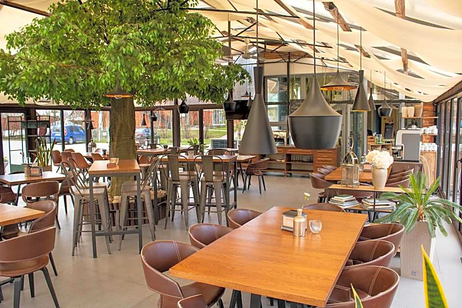 AKIS namelis medyje- Dinosaur Park