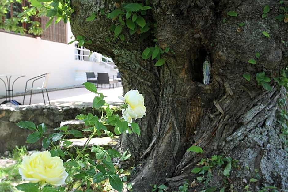 1er Consul SAS a Bussinca