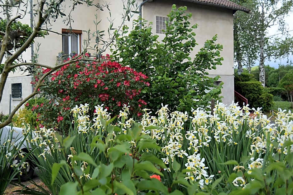 Le Nid de l'Ecureuil