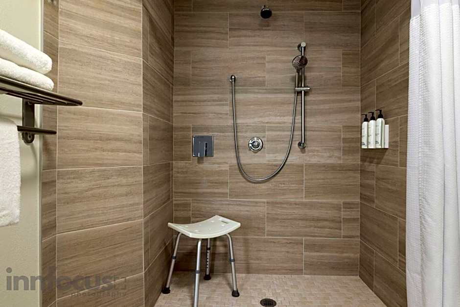 SpringHill Suites by Marriott Tampa Brandon