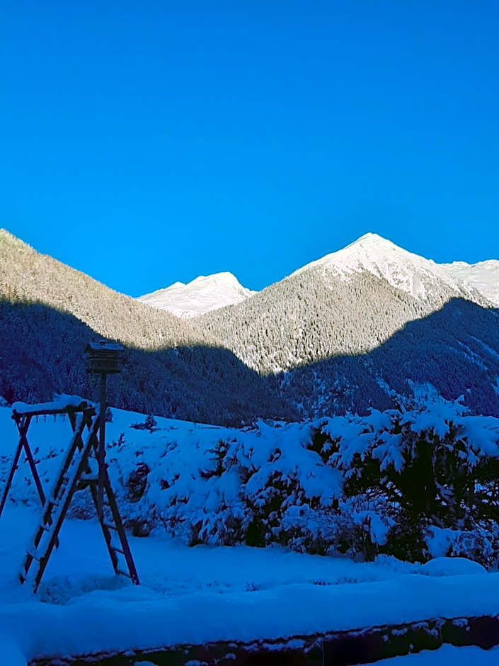 Hotel Pension Oswald