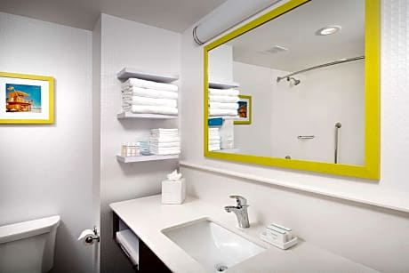 1 King Accessible Roll In Shower Non-Smoking