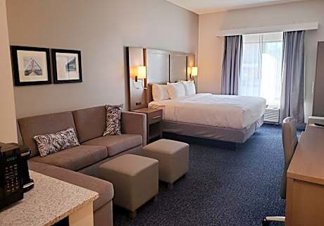 1 King Bed, 1 Room Suite, Sofabed