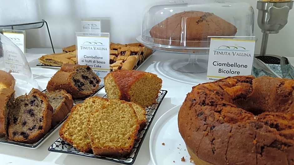 Tenuta Vallina - Golfo di Policastro