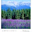 Hotel Montblanc Hakuba