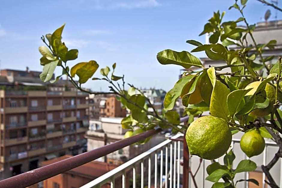 B&B SPLENDIDAE MUNDI