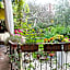 Inn The Garden