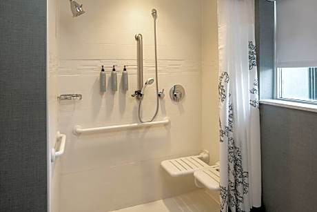 Suite, 1 Bedroom (1 King Bed and 1 Double Sofa Bed)