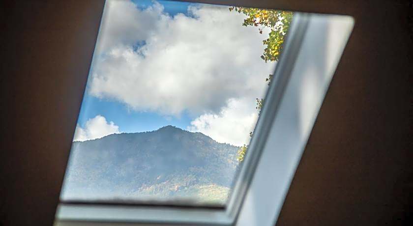 Mt. Mitchell Eco Retreat