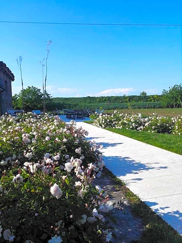 Agriturismo La Borina