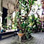 Double N Guest House