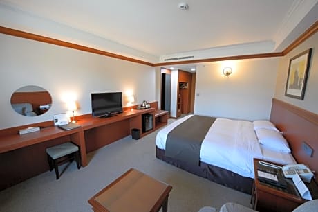 Superior Double Room with Mountain View