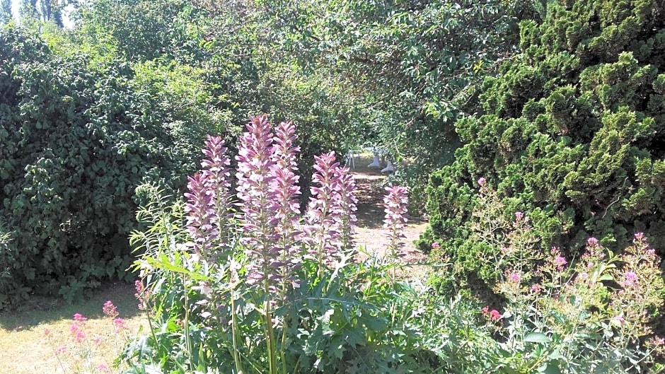 Chambres du Jardin Fleuri