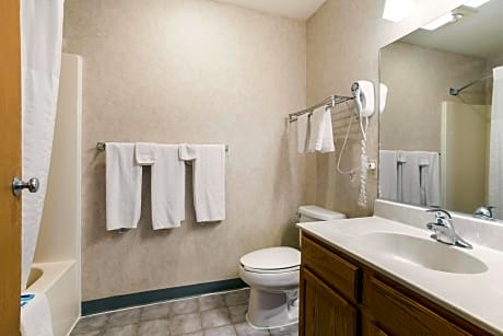 1 King Bed Nonsmoking