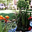 B&B Sauvignon Country Lodge