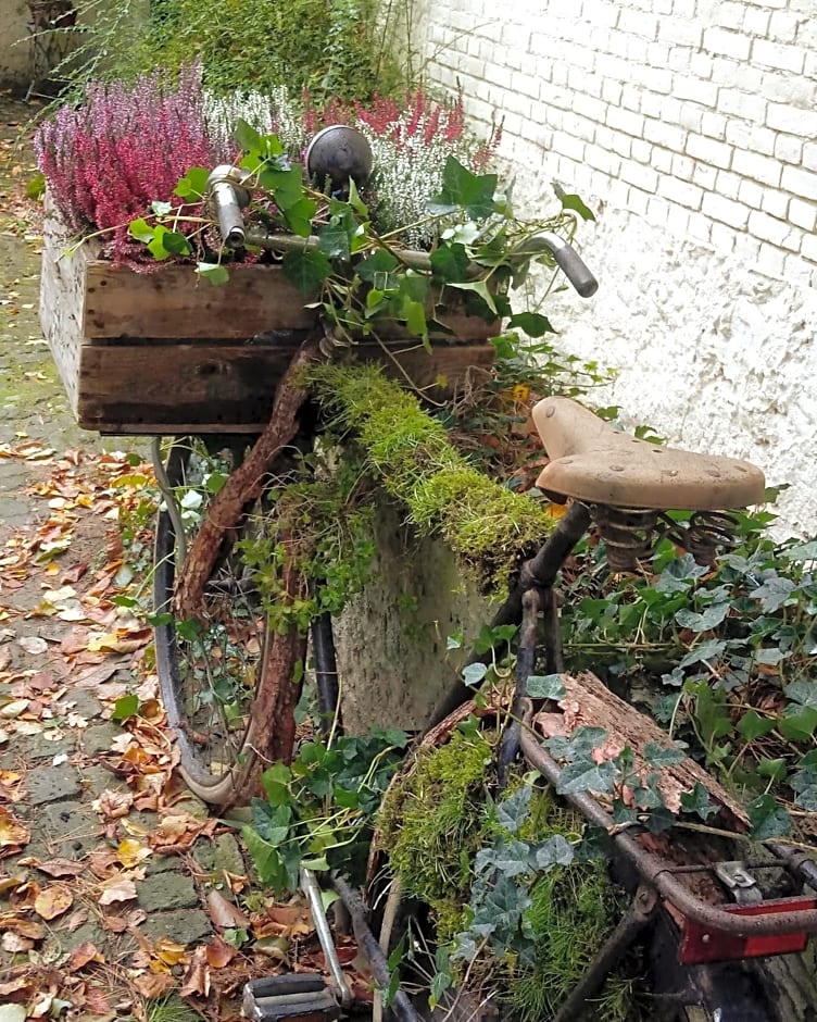 B&B Wood, Food & More