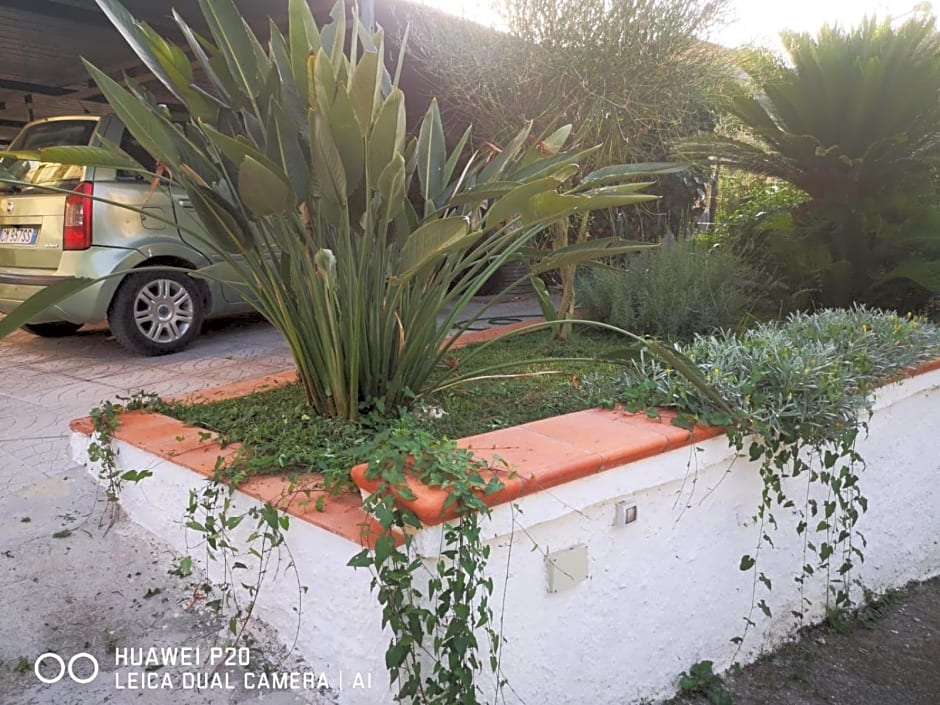 Tettoeletto Garden Bio