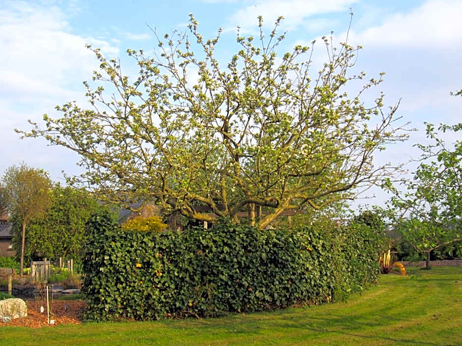 B&B Kleintje Eleveld