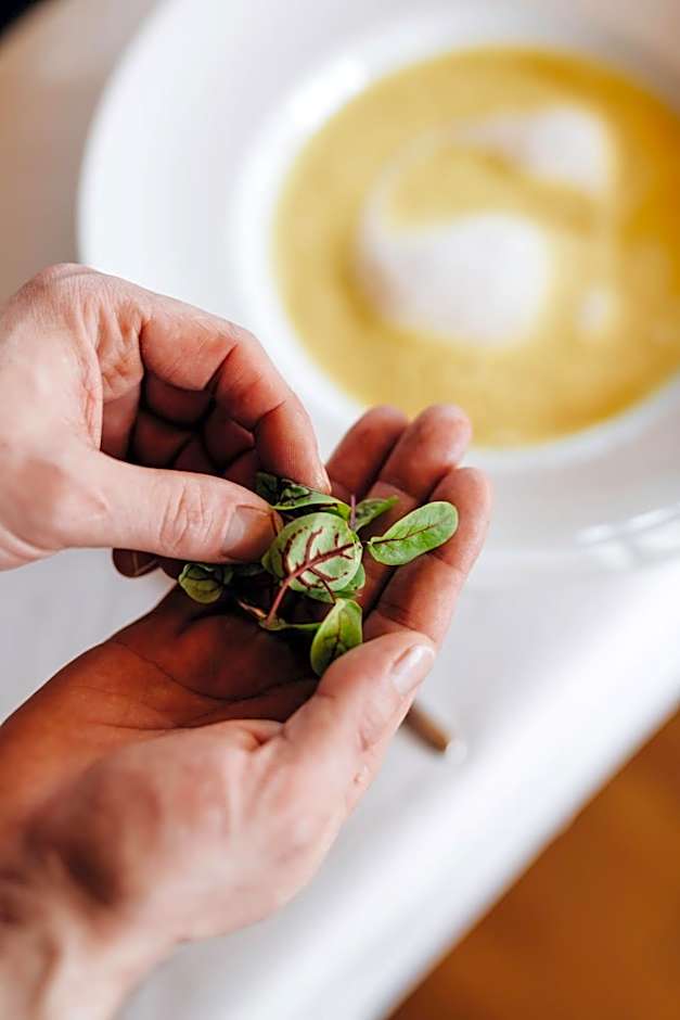 Aparthotel Hubertus Mellau