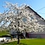 Chez Anny et Jean Au Mittelbuehl-Reichshoffen