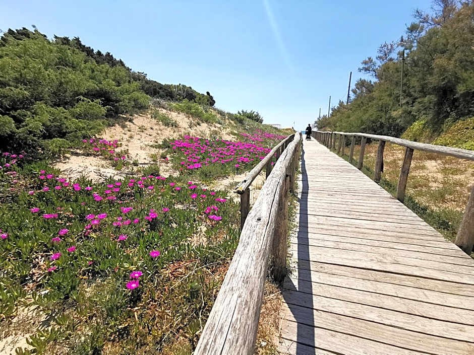 Samanà B&B con Spiaggia Privata a Punta Prosciutto