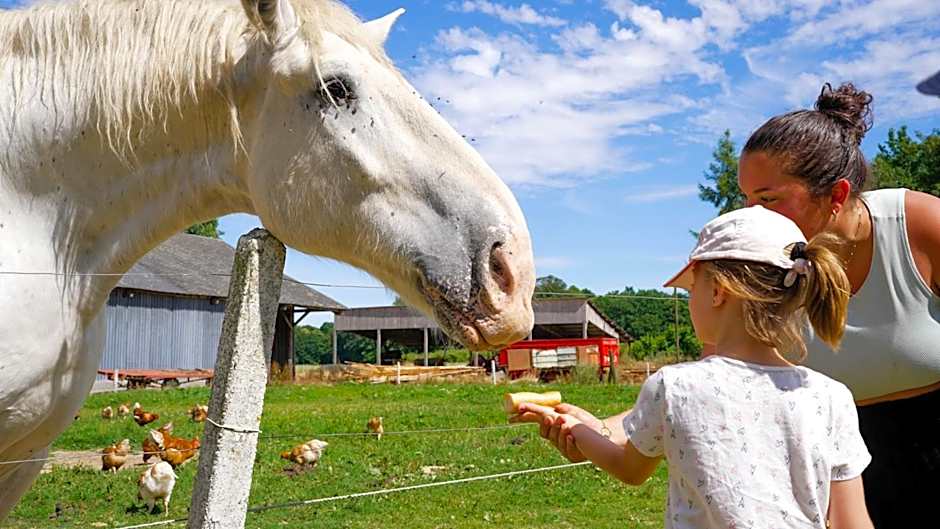 VVF Normandie Veules-les-Roses