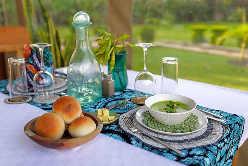 Tanzania Safari Lodge