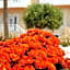 Alonia Hotel