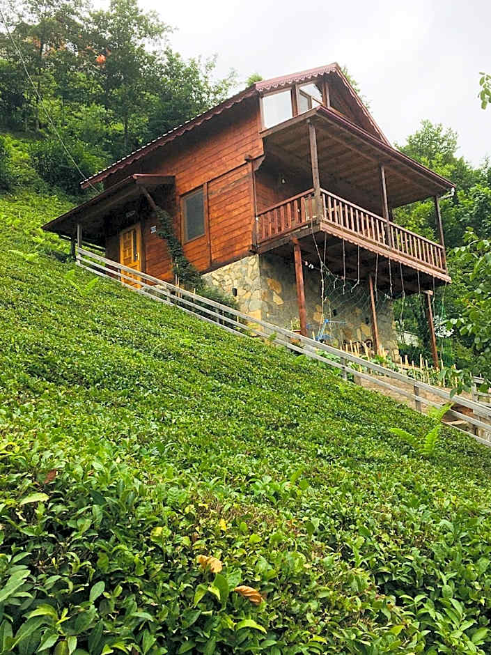 Vadi dağ evi bungalov