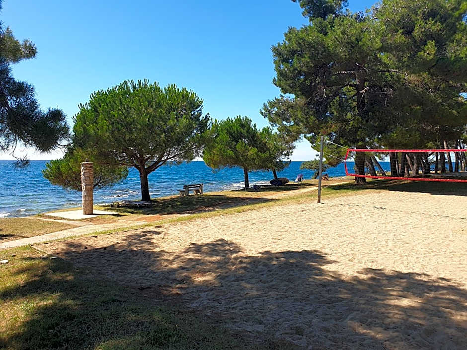 Family Bungalow Pineta